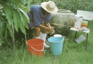 การล้างมือหลังจากใช้ยาฆ่าแมลงเสร็จ
